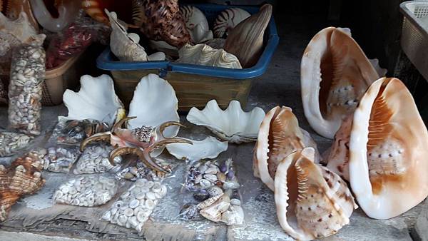 20161212_164313_看图王.JPG 20161212_164313_看图王.JPG