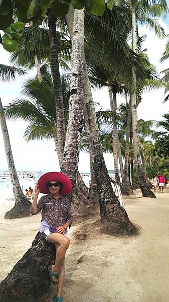 1481590102181_看图王_看图王.JPG 1481590102181_看图王_看图王.JPG