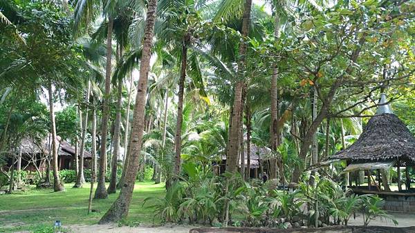 1481591463589_看图王.JPG 1481591463589_看图王.JPG