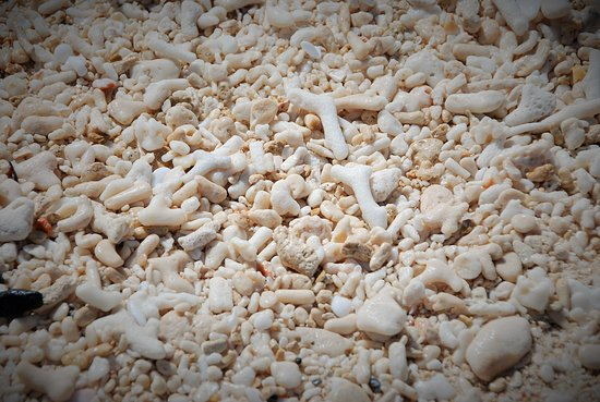 sabbia-corallina[1]_看图王.jpg