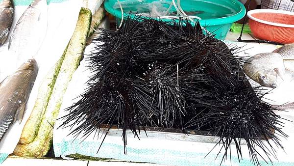 20161213_122041_看图王.JPG 20161213_122041_看图王.JPG