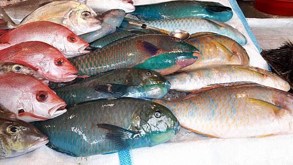 20161213_122109_看图王.JPG 20161213_122109_看图王.JPG