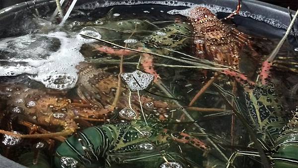 1481894035344_看图王.JPG 1481894035344_看图王.JPG