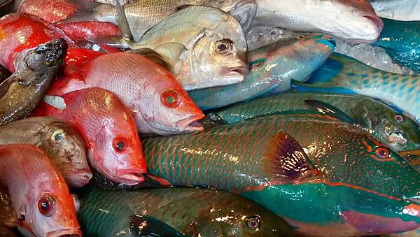 1481894042844_看图王.JPG 1481894042844_看图王.JPG