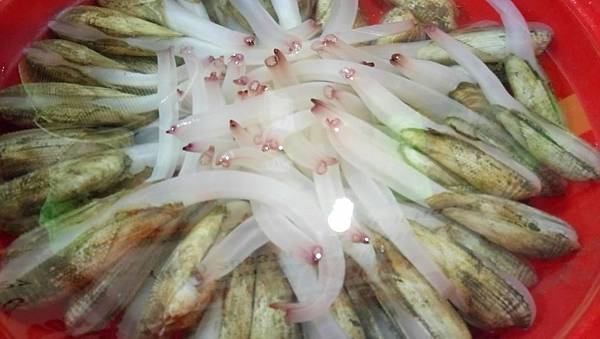 1481894067149_看图王.JPG 1481894067149_看图王.JPG