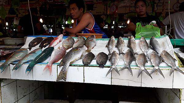 20161213_122034.jpg 20161213_122034.jpg