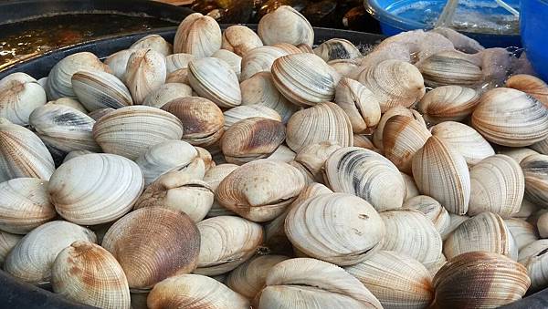 1481894037294.jpg 1481894037294.jpg