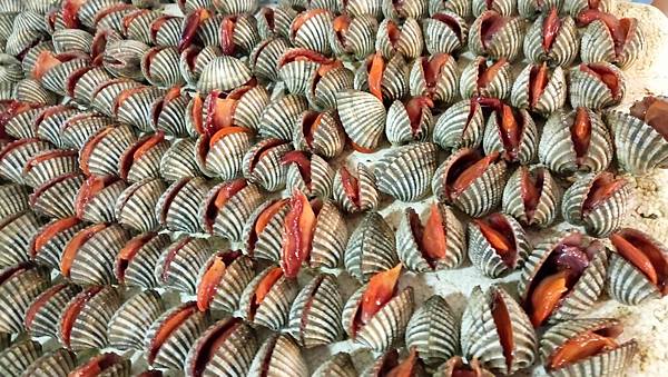 1481894064723.jpg 1481894064723.jpg