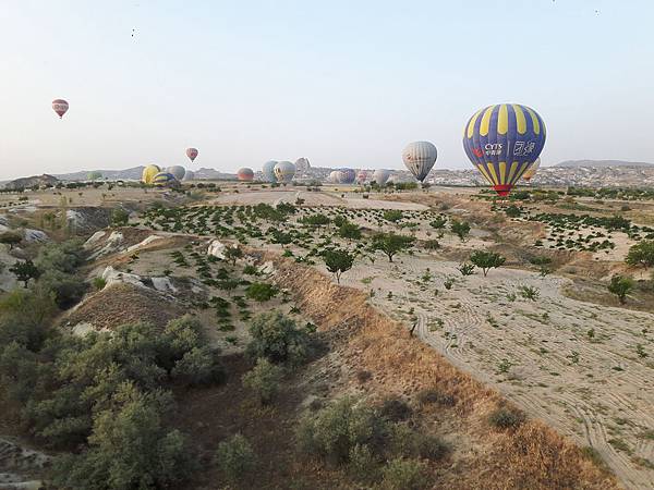 20170916_070048_看图王.jpg 20170916_070048_看图王.jpg