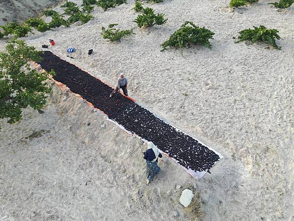 20170916_070242_看图王.jpg 20170916_070242_看图王.jpg