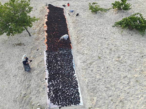 20170916_070248_看图王.jpg 20170916_070248_看图王.jpg