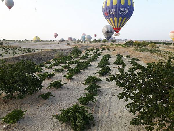 20170916_070259_看图王.jpg 20170916_070259_看图王.jpg