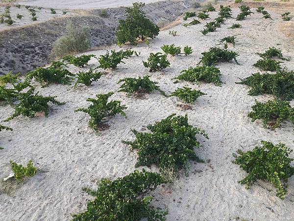 20170916_070351_看图王.jpg 20170916_070351_看图王.jpg