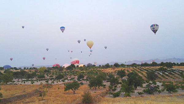 1506000421324_看图王.jpg 1506000421324_看图王.jpg