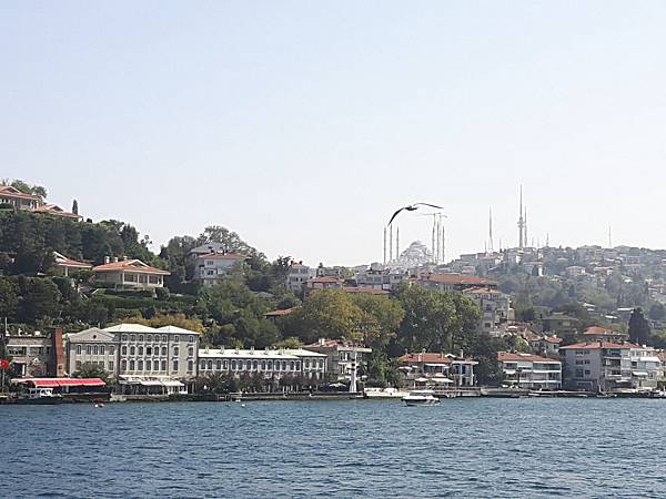 20170919_135644_看图王.jpg 20170919_135644_看图王.jpg