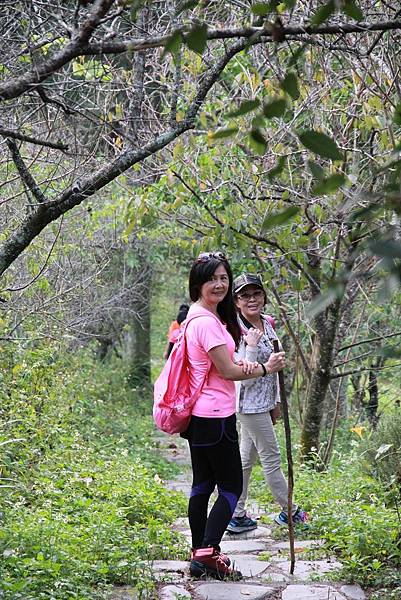 1515572692384.jpg 1515572692384.jpg