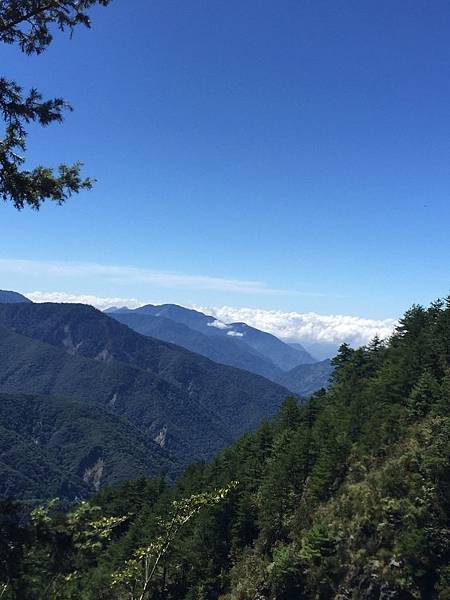 1515572902114.jpg 1515572902114.jpg