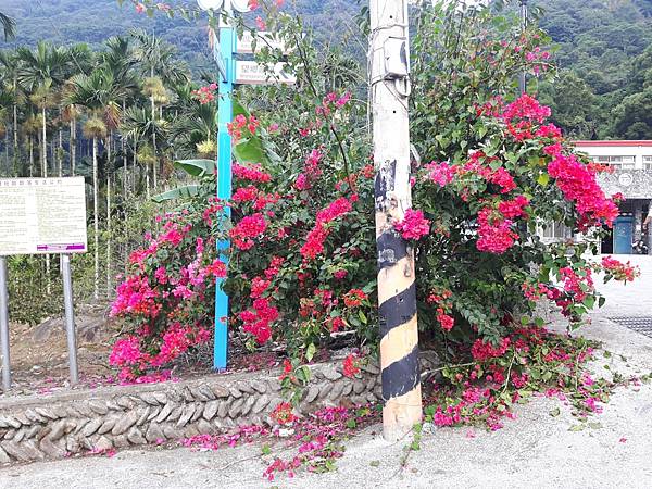 20171016_160912_看图王.JPG 20171016_160912_看图王.JPG