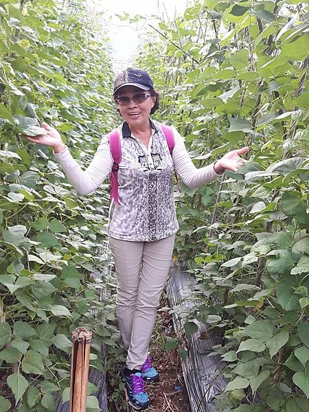 20171016_161701_看图王.JPG 20171016_161701_看图王.JPG