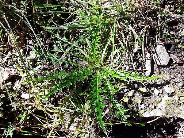 20171017_092915_看图王.JPG 20171017_092915_看图王.JPG