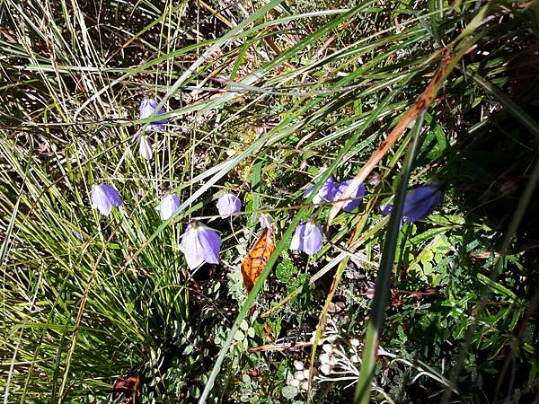 20171017_092920_看图王.JPG 20171017_092920_看图王.JPG