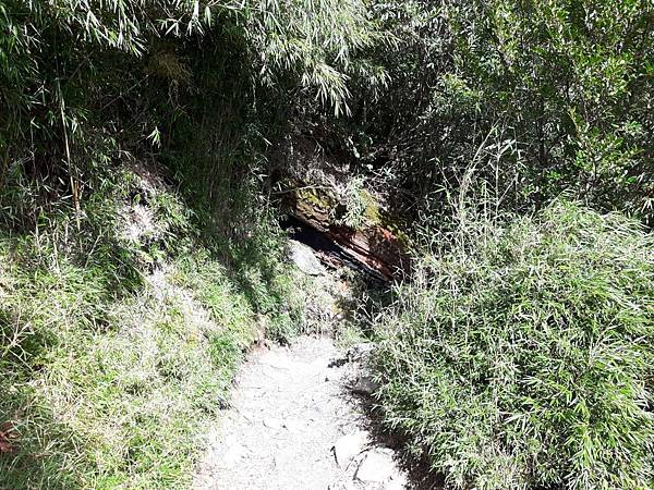 20171017_134345_看图王.JPG 20171017_134345_看图王.JPG