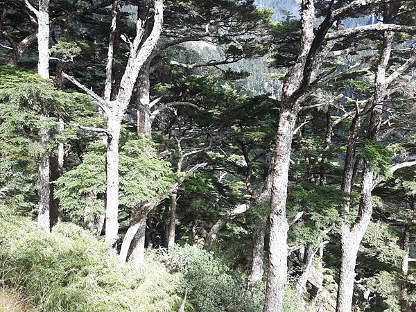 20171017_135138_看图王.JPG 20171017_135138_看图王.JPG