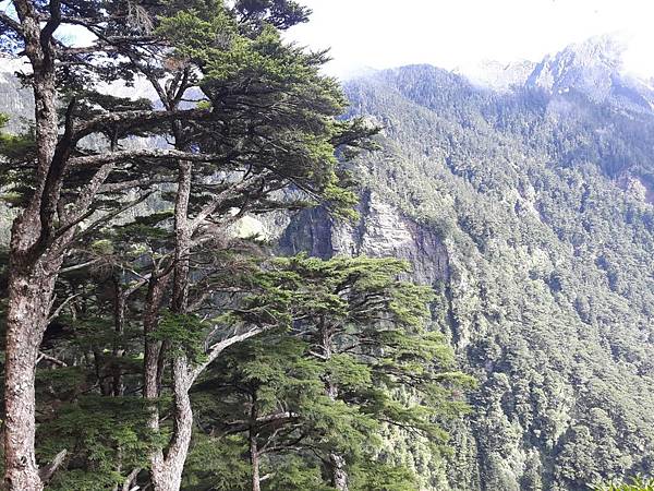 20171017_135324_看图王.JPG 20171017_135324_看图王.JPG