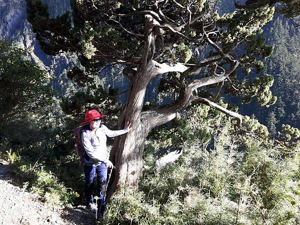 20171017_155054_看图王.JPG 20171017_155054_看图王.JPG