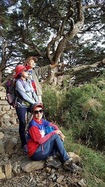 1508431578688_看图王.JPG 1508431578688_看图王.JPG