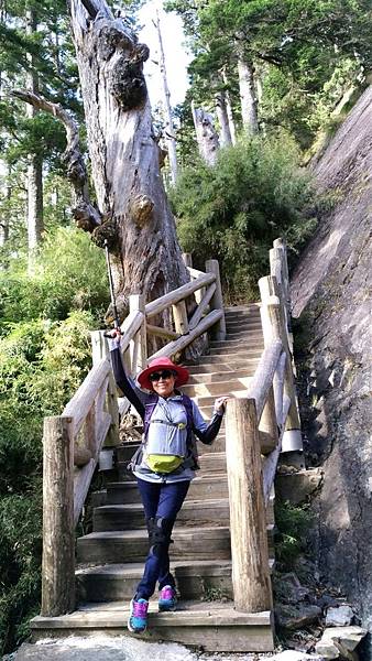 1508474852950_看图王_看图王.JPG 1508474852950_看图王_看图王.JPG