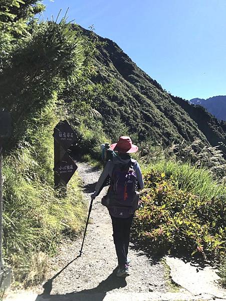 1508496895194_看图王_看图王.JPG 1508496895194_看图王_看图王.JPG