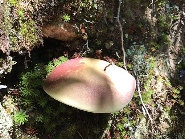 1508496922351_看图王.JPG 1508496922351_看图王.JPG