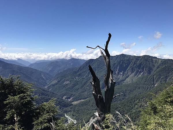 1508496925003_看图王.JPG 1508496925003_看图王.JPG