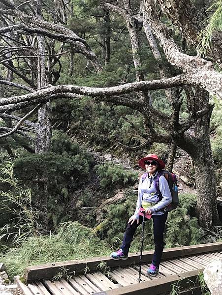 1508496942193_看图王.JPG 1508496942193_看图王.JPG