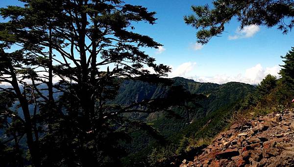 1515572988964.JPG 1515572988964.JPG