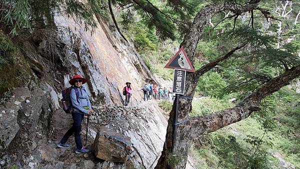 1515573040795.JPG 1515573040795.JPG