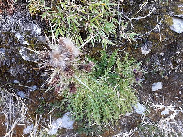 20171017_164609_看图王.jpg 20171017_164609_看图王.jpg