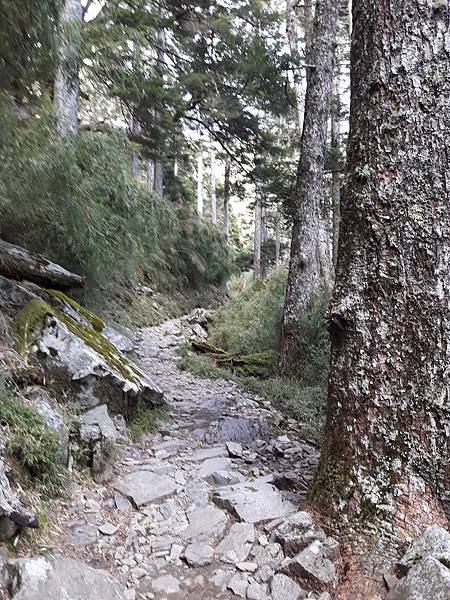 20171017_143350_看图王.jpg 20171017_143350_看图王.jpg