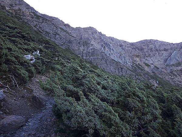 20171018_071710_看图王.jpg 20171018_071710_看图王.jpg