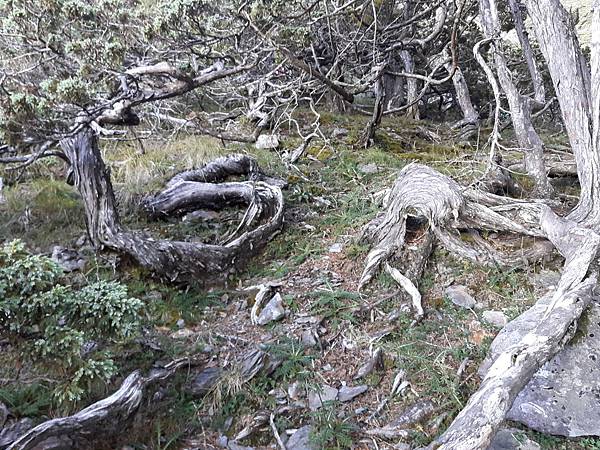 20171018_073139_看图王.jpg 20171018_073139_看图王.jpg