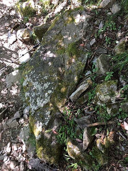 1508381579441_看图王.jpg 1508381579441_看图王.jpg