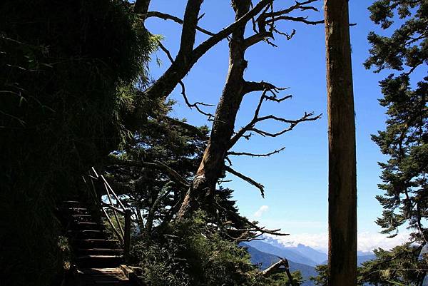 1508412644552_看图王.jpg 1508412644552_看图王.jpg