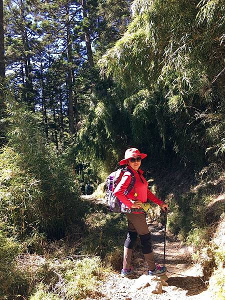 1508413614806_看图王.jpg 1508413614806_看图王.jpg