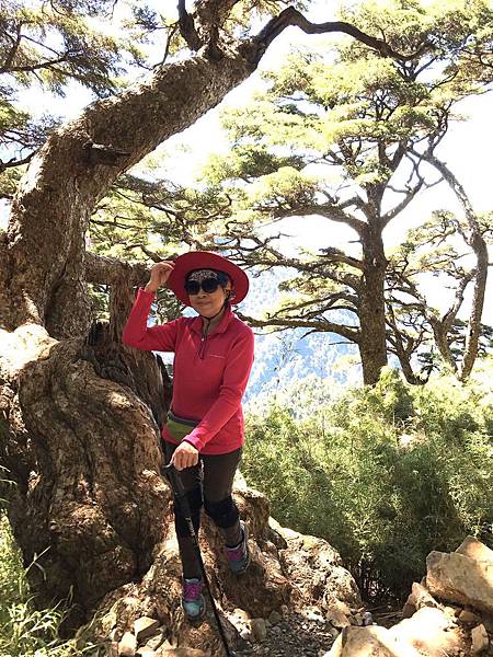 1508497019249_看图王_看图王.jpg 1508497019249_看图王_看图王.jpg