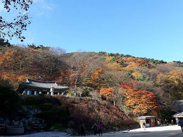 20171106_144340_看图王.JPG 20171106_144340_看图王.JPG