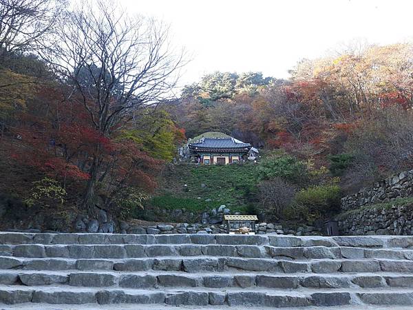 20171106_151542_看图王.JPG 20171106_151542_看图王.JPG