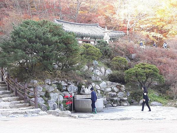 20171106_151643_看图王.JPG 20171106_151643_看图王.JPG