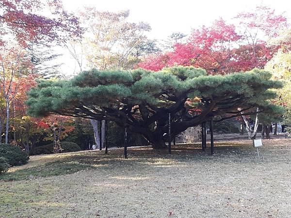 20171106_160745_看图王.JPG 20171106_160745_看图王.JPG