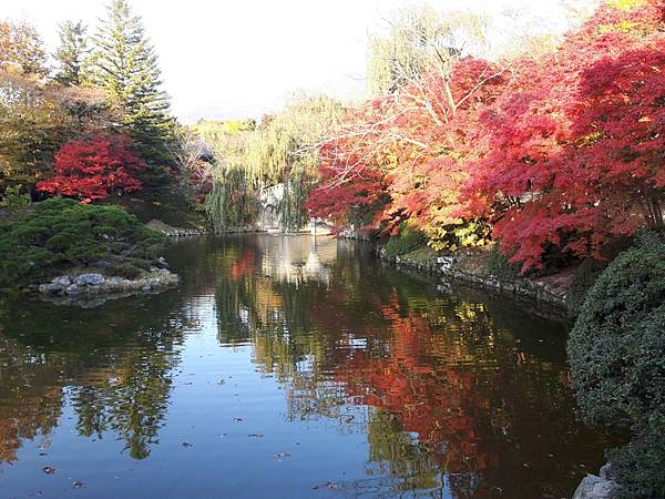 20171106_161443_看图王.JPG 20171106_161443_看图王.JPG